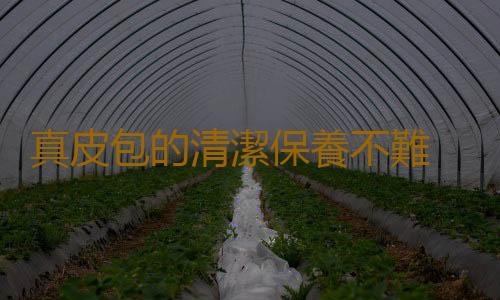 真皮包的清潔保養不難 真皮皮包的清潔及保養小竅