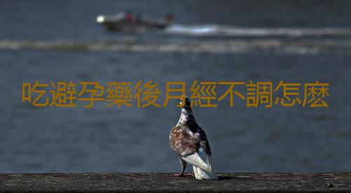 吃避孕藥後月經不調怎麽辦