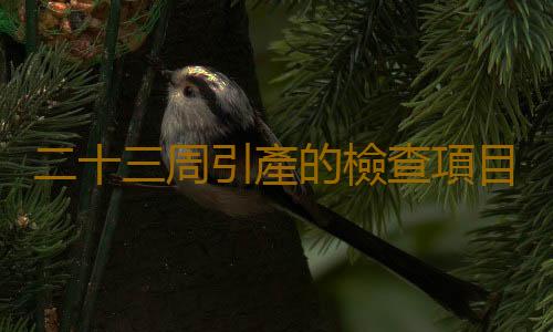 二十三周引產的檢查項目有哪些