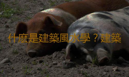 什麽是建築風水學？建築風水的源流