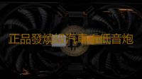 正品發燒級汽車重低音炮功放板10寸12寸大功率1000W車載音響主板