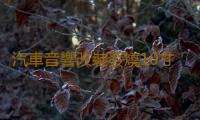 汽車音響改裝發燒10寸12寸雙音圈重低音純低音車載無源低音炮喇叭