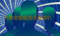 汽車音響超重低音喇叭 丹麥10寸低音喇叭12寸重低音炮雙磁雙音圈