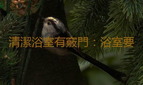 清潔浴室有竅門：浴室要保持通風