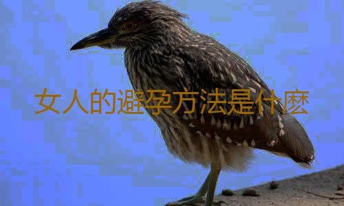 女人的避孕方法是什麽