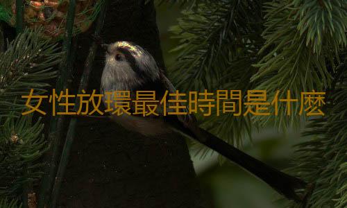 女性放環最佳時間是什麽時候呢