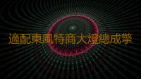 適配東風特商大燈總成擎宇禦虎炎龍東風專用底盤砂石王大燈保險杠