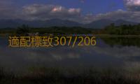 適配標致307/206/408/雪鐵龍C4L世嘉原裝電瓶駱駝60AH汽車蓄電池