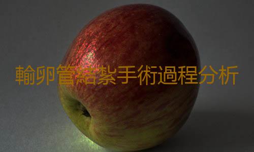 輸卵管結紮手術過程分析