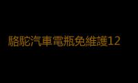 駱駝汽車電瓶免維護12V45AH 46B24R適配五菱宏光吉利金剛夏利森雅