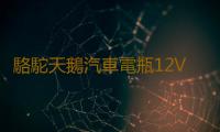 駱駝天鵝汽車電瓶12V60AH55D26R豐田皇冠銳誌馬自達6哈弗H2H3H5H6