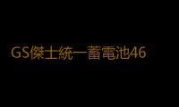 GS傑士統一蓄電池46B24L適配奧德雅閣軒逸新陽光思域逍客汽車電瓶